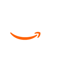 Amazon store logo
